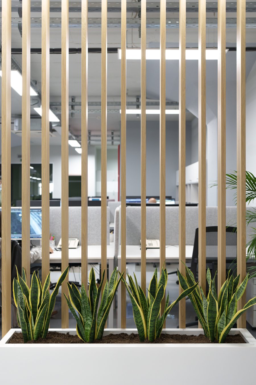 Consortis Office